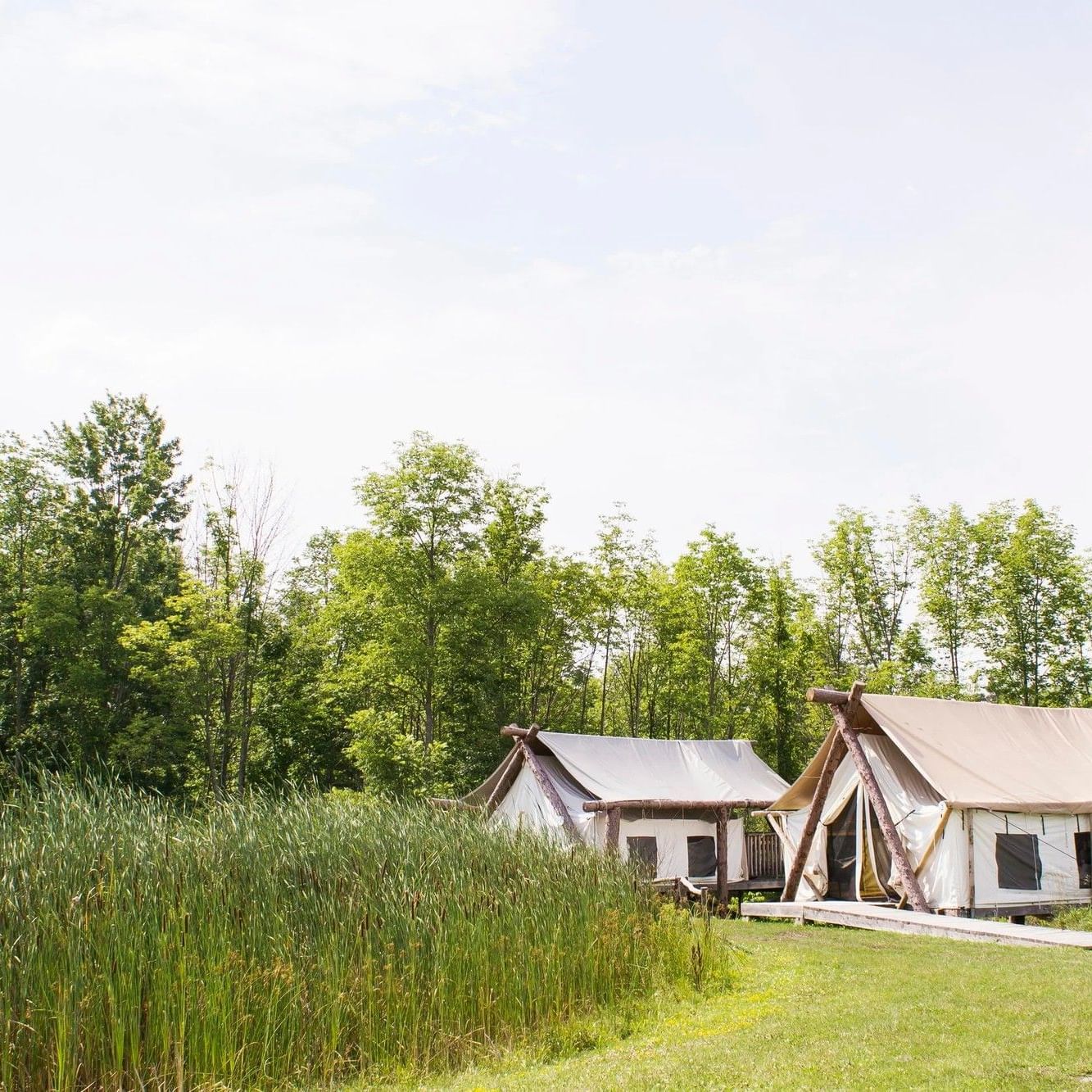 Glamping tents in New York surrounded by grass and nature