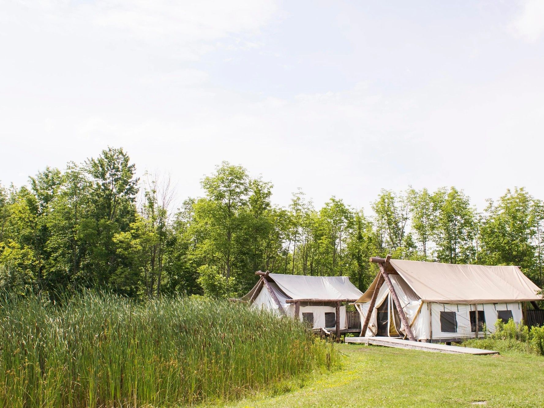 Glamping tents in New York surrounded by grass and nature