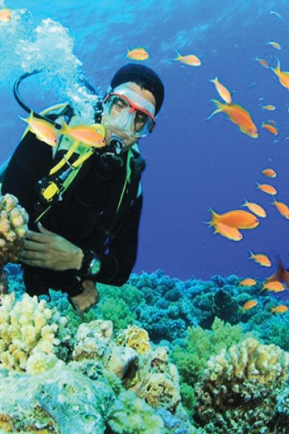 Scuba Diving near Tierra Magnífica Hotel in Guanacaste, Costa Rica