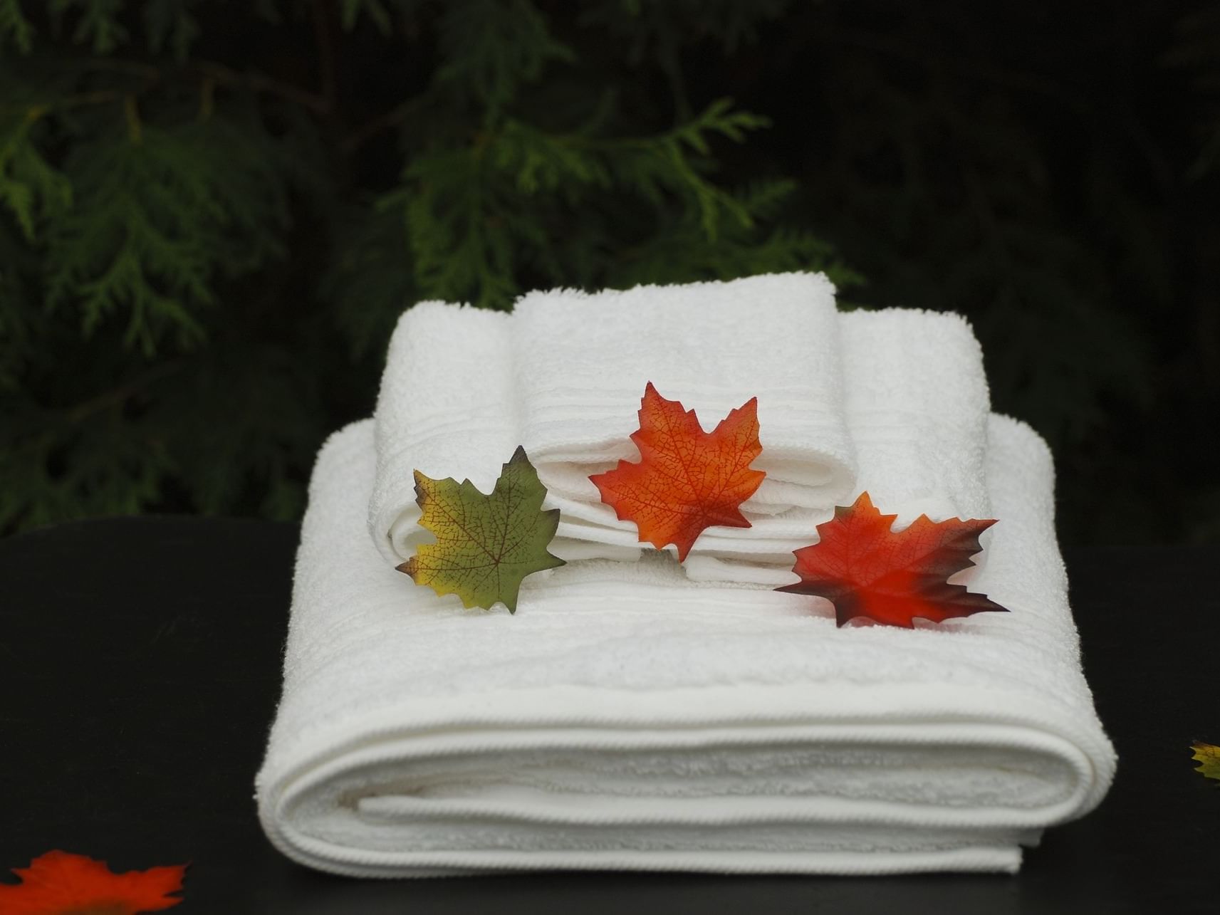 Close-up on Body Wraps with Maple Leaves at August Moon Spa