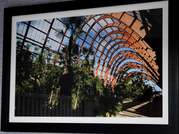 Framed picture of the curved roof and lush foliage inside the Sheffield Winter Garden at Sandman Sheffield Quays