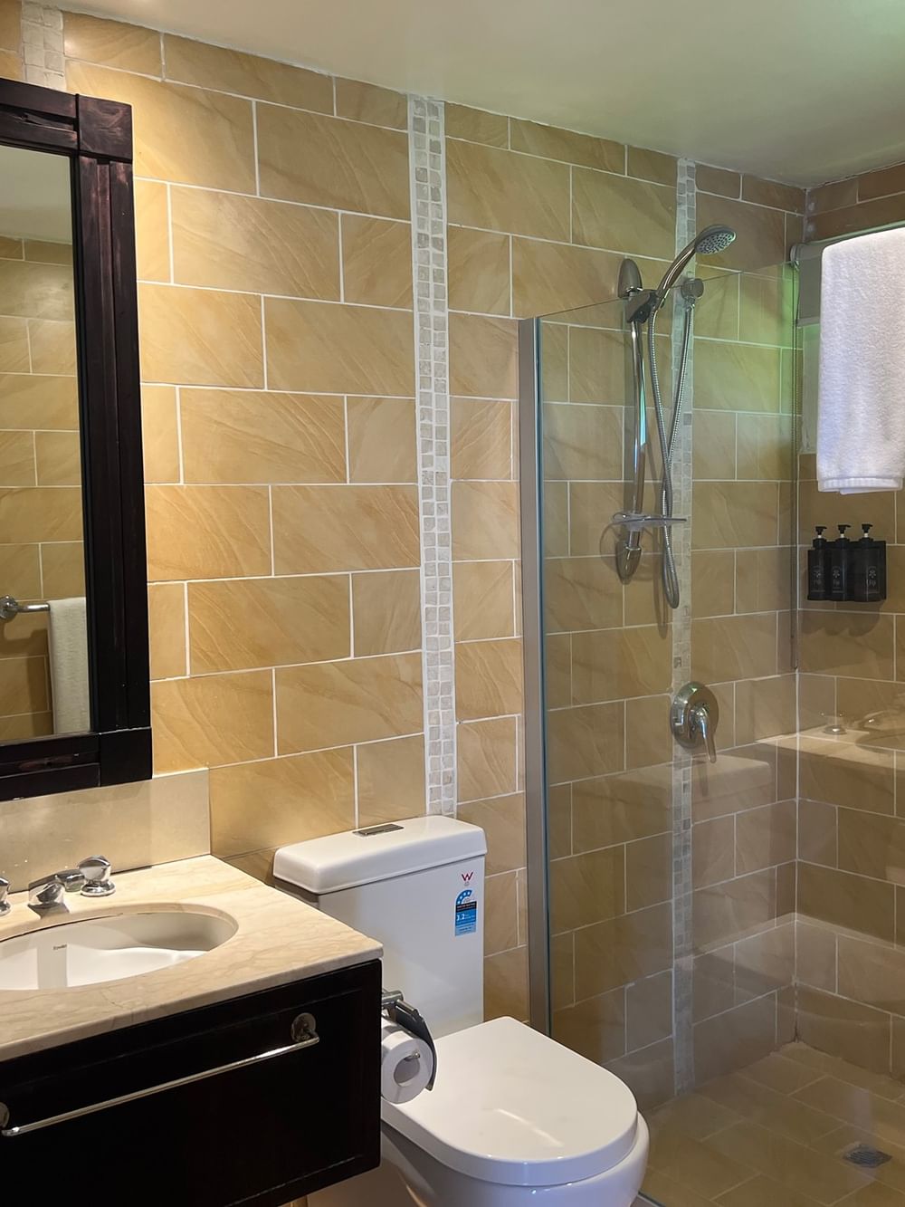Modern bathroom with shower and toilet in Beach Front Bure at Tambua Sands Beach Resort in Sigatoka.