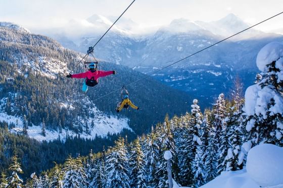 Two people ziplining through snowy mountain landscape at Aava Whistler