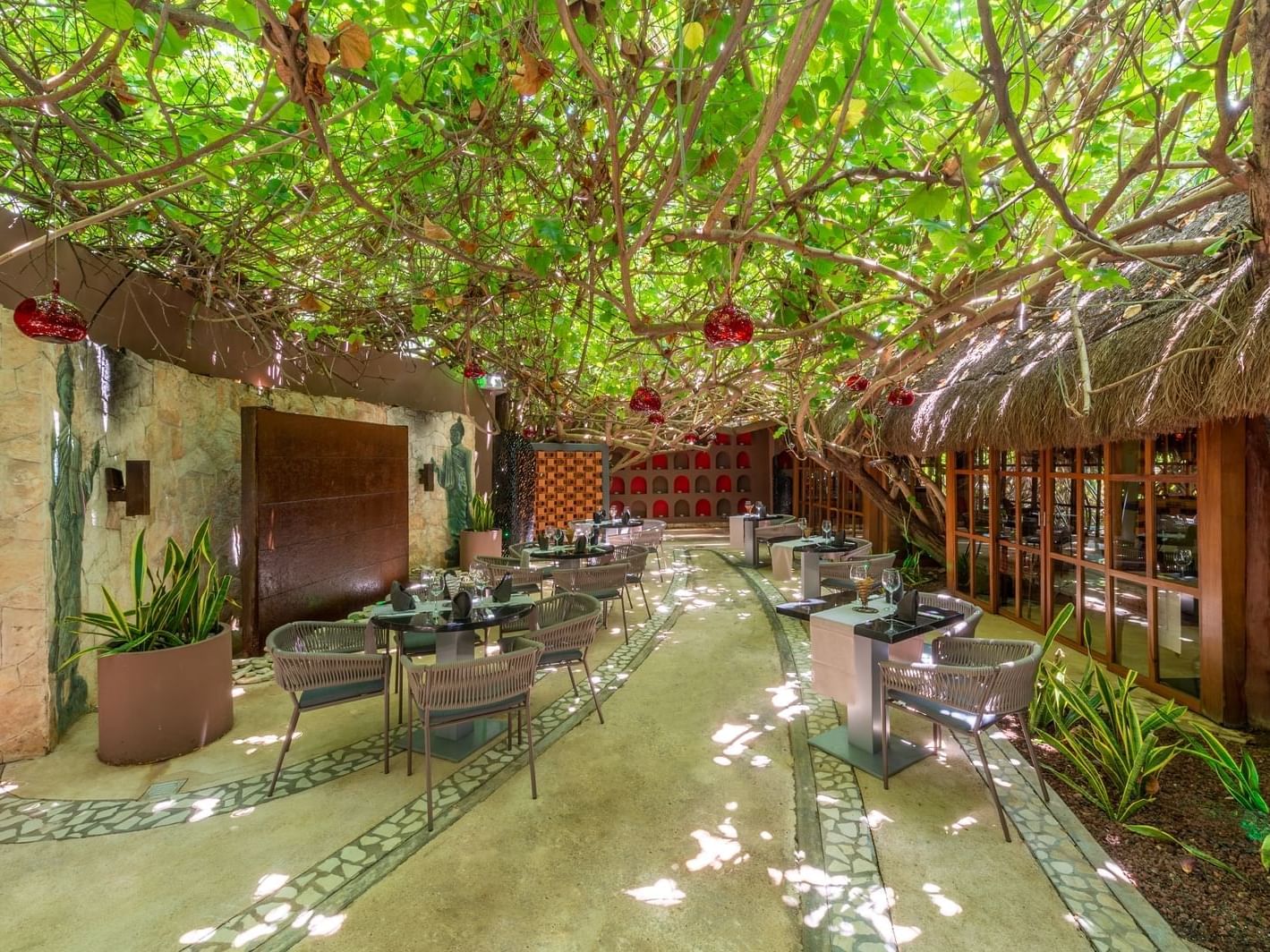 Vines have grown over a garden dining area at La Colección