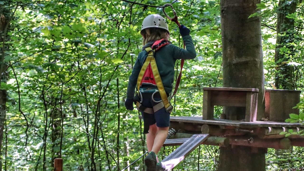 Kid on ropes course in the trees