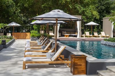 Luxury poolside lounging area with umbrellas, sunbeds and lush greenery at El Mangroove Hotel