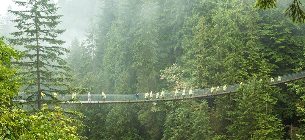 people crossing the Capilano Suspension Bridge Park