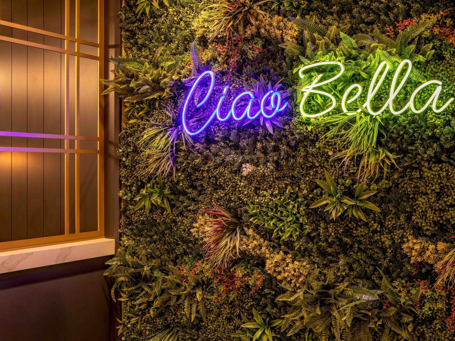 The Rooftop Bar Ciao Bella Wall at Artisan Hotel 