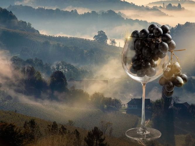 A scenic hillside with a glass of wine and grapes.