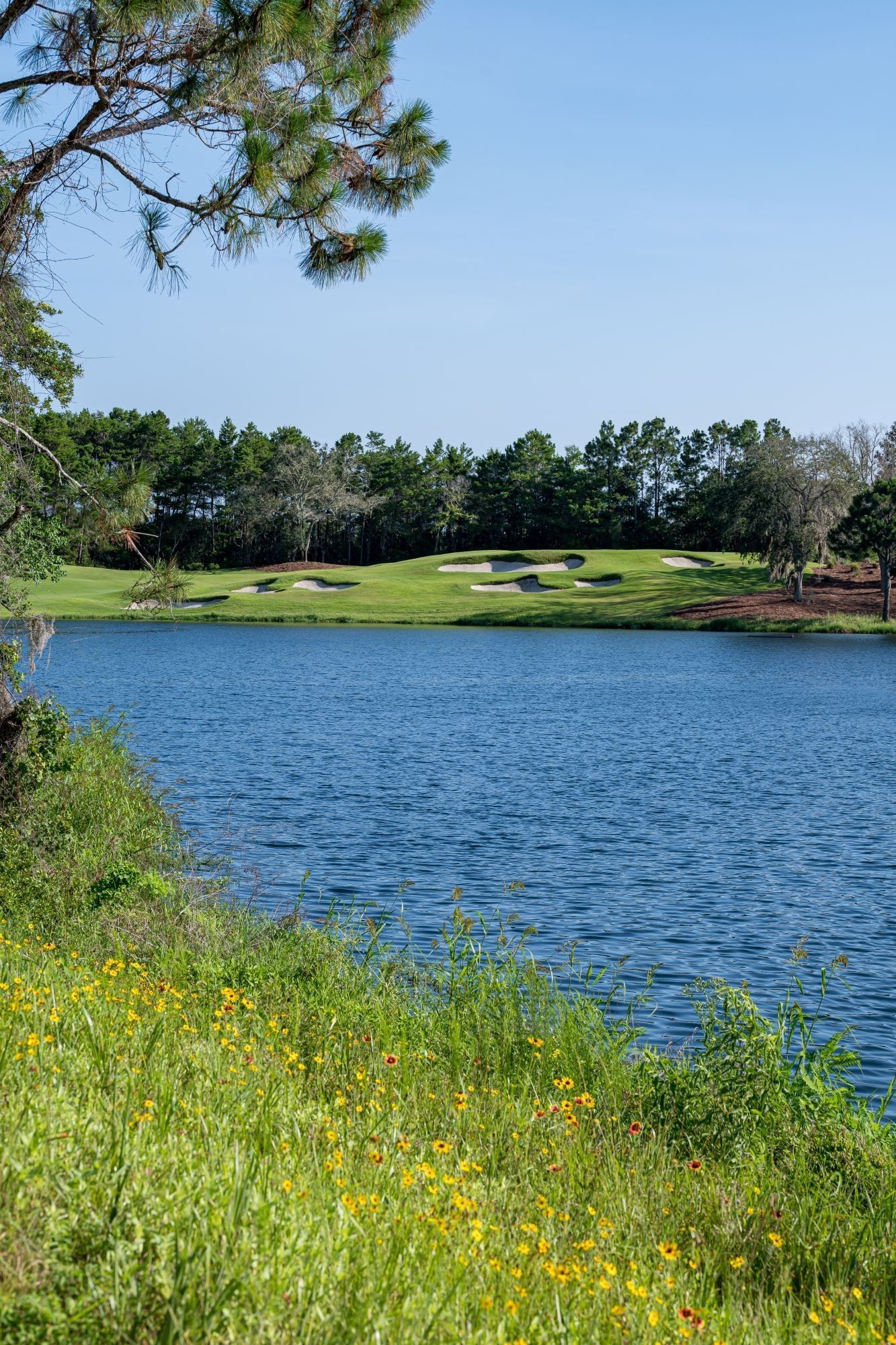 Golf course with sand bunkers beside blue pond and wildflowers under clear sky at Camp Creek Inn