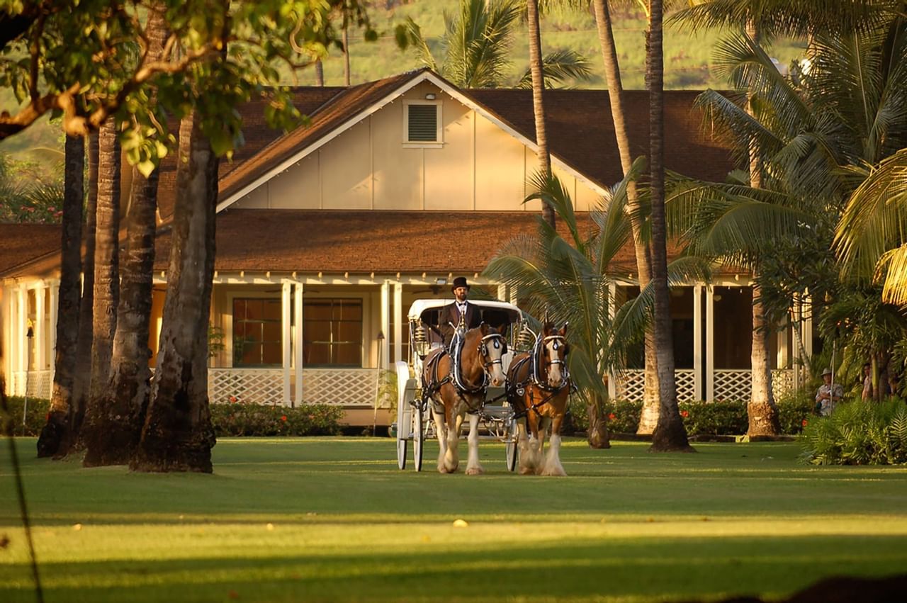 horse and carriage for a wedding ceremony at GP Redemption Catalogue