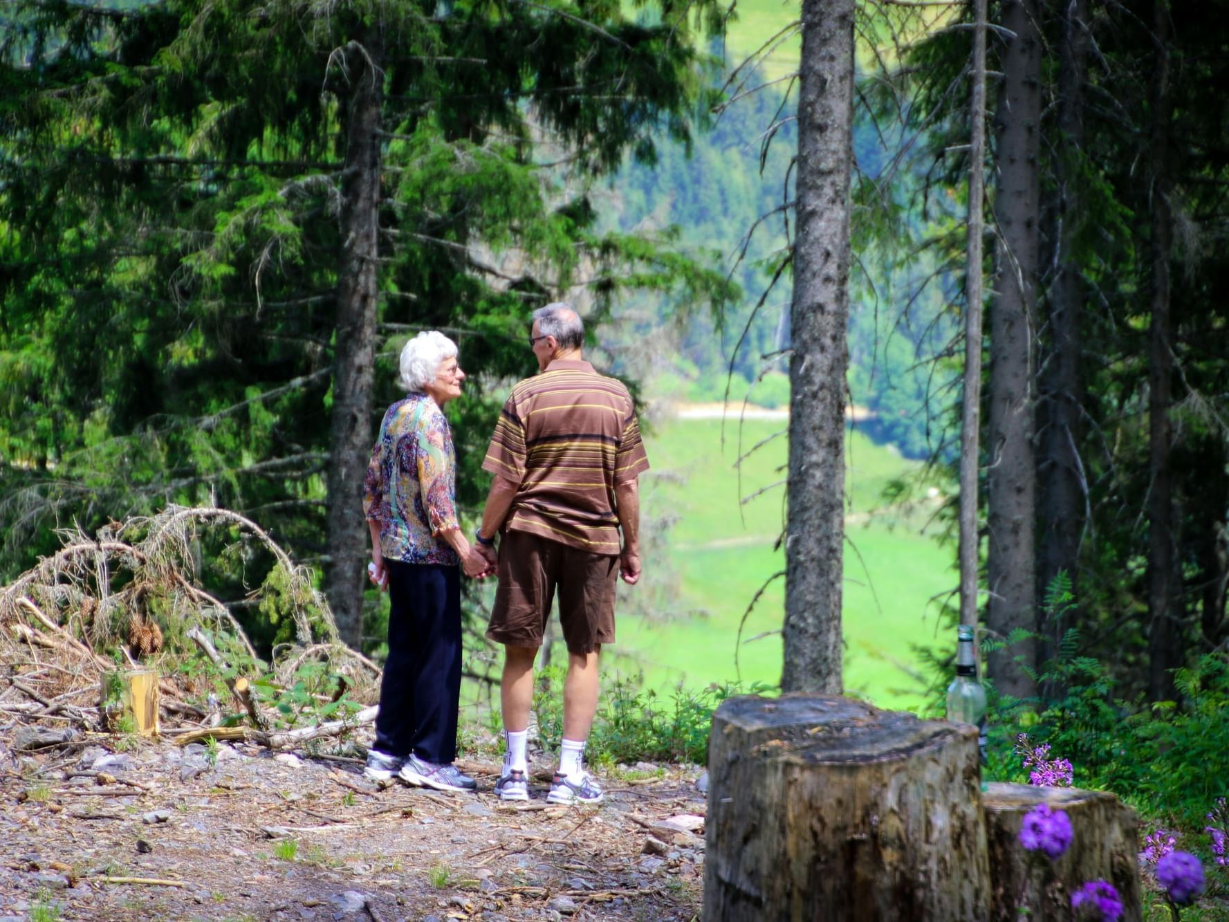 Elderly couple holding hands, standing on a trail in a forest, surrounded by greenery and stumps.