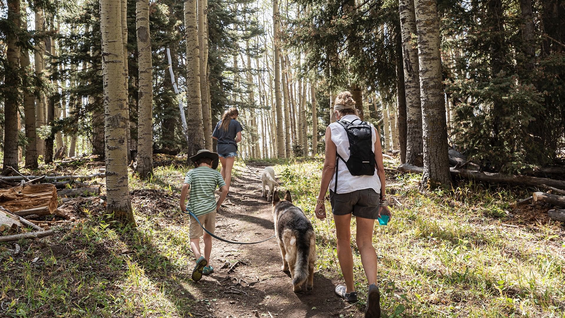 Family with two dogs walking on a forested trail near Coast Edson Hotel