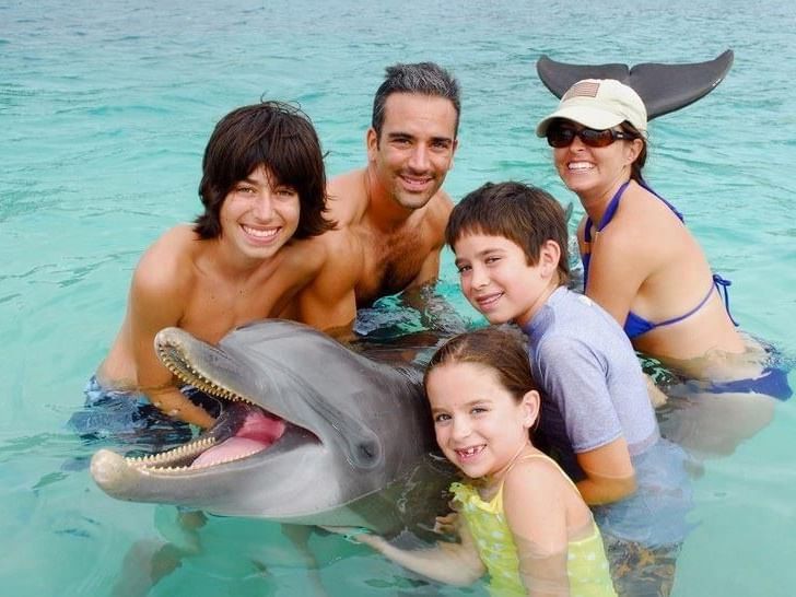dolphinencounter