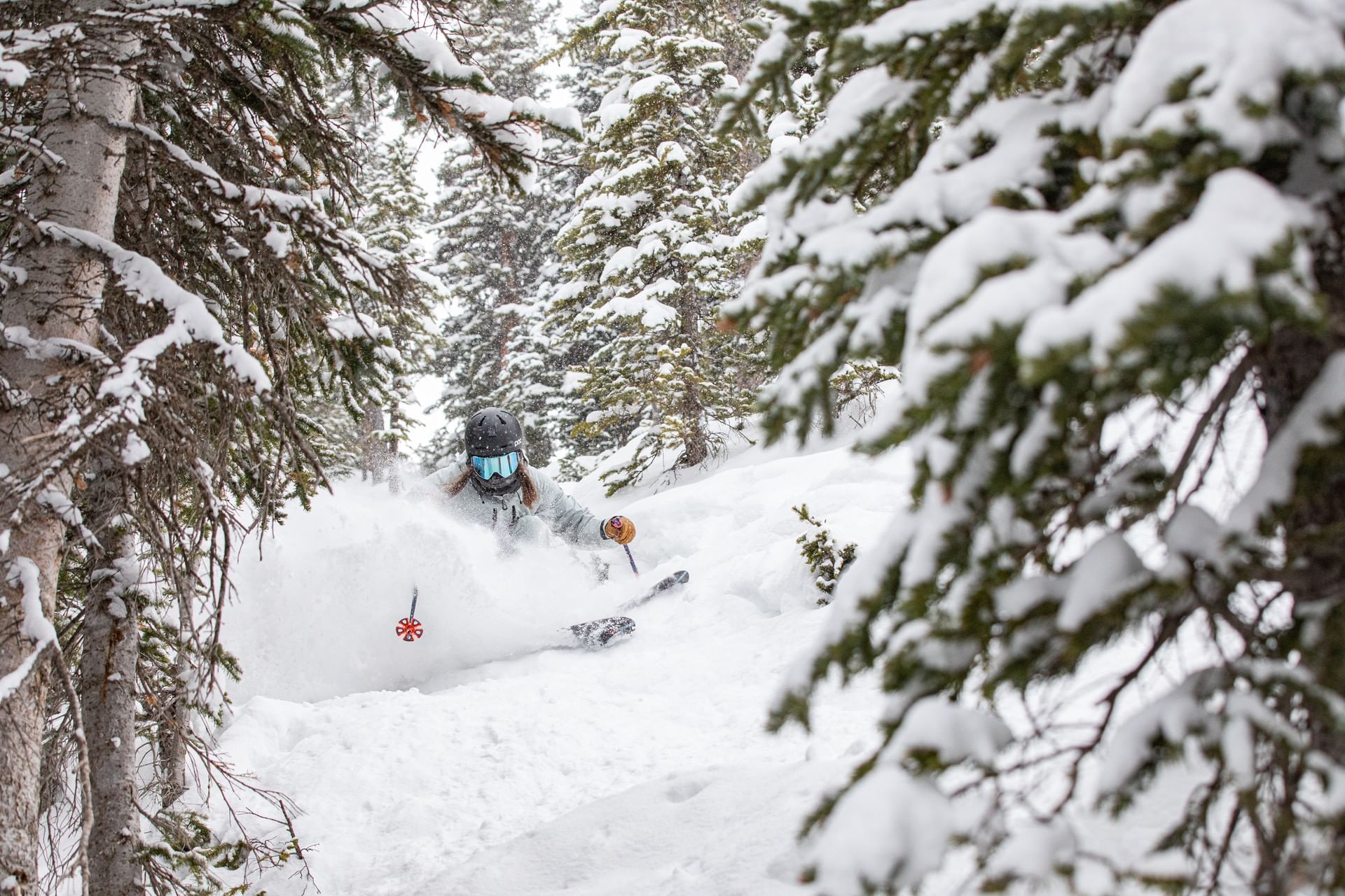 24+ Crested Butte Colorado Elevation