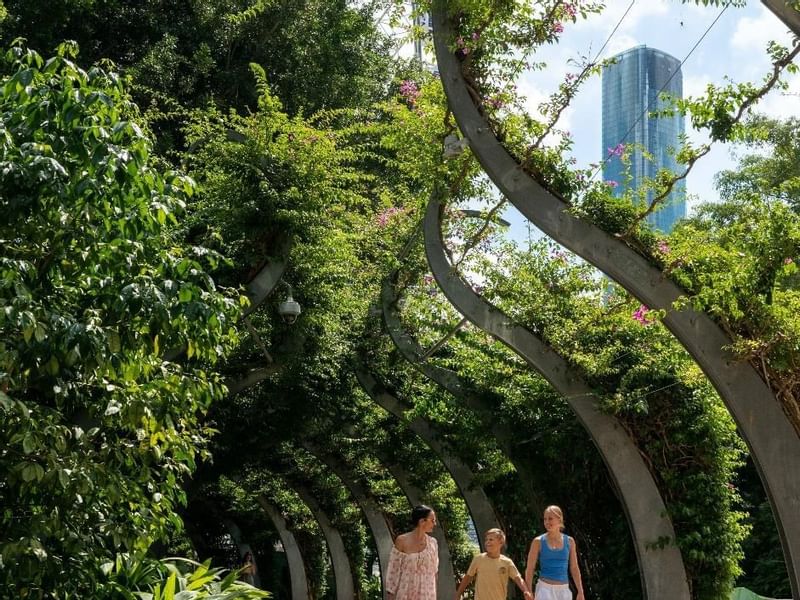 Walkway with arched trellises covered in green foliage at South Bank near Sofitel Brisbane Central