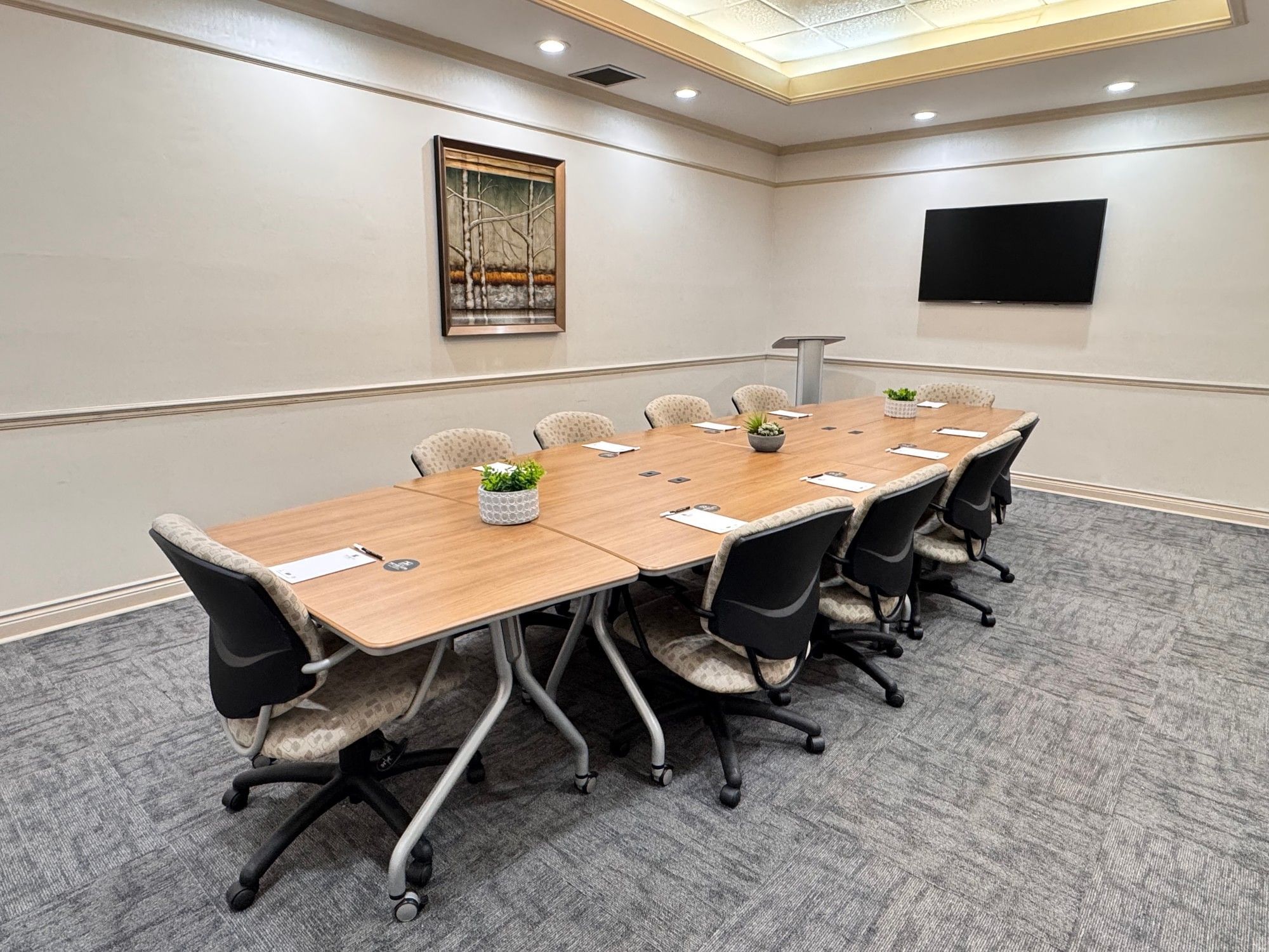 Professional boardroom at The Park Hotel London, featuring a long table, comfortable chairs, and a mounted television