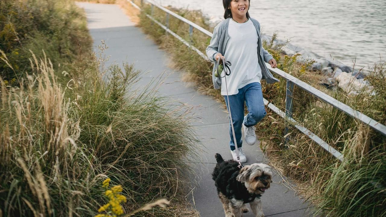 Walking a dog on a path toward the beach