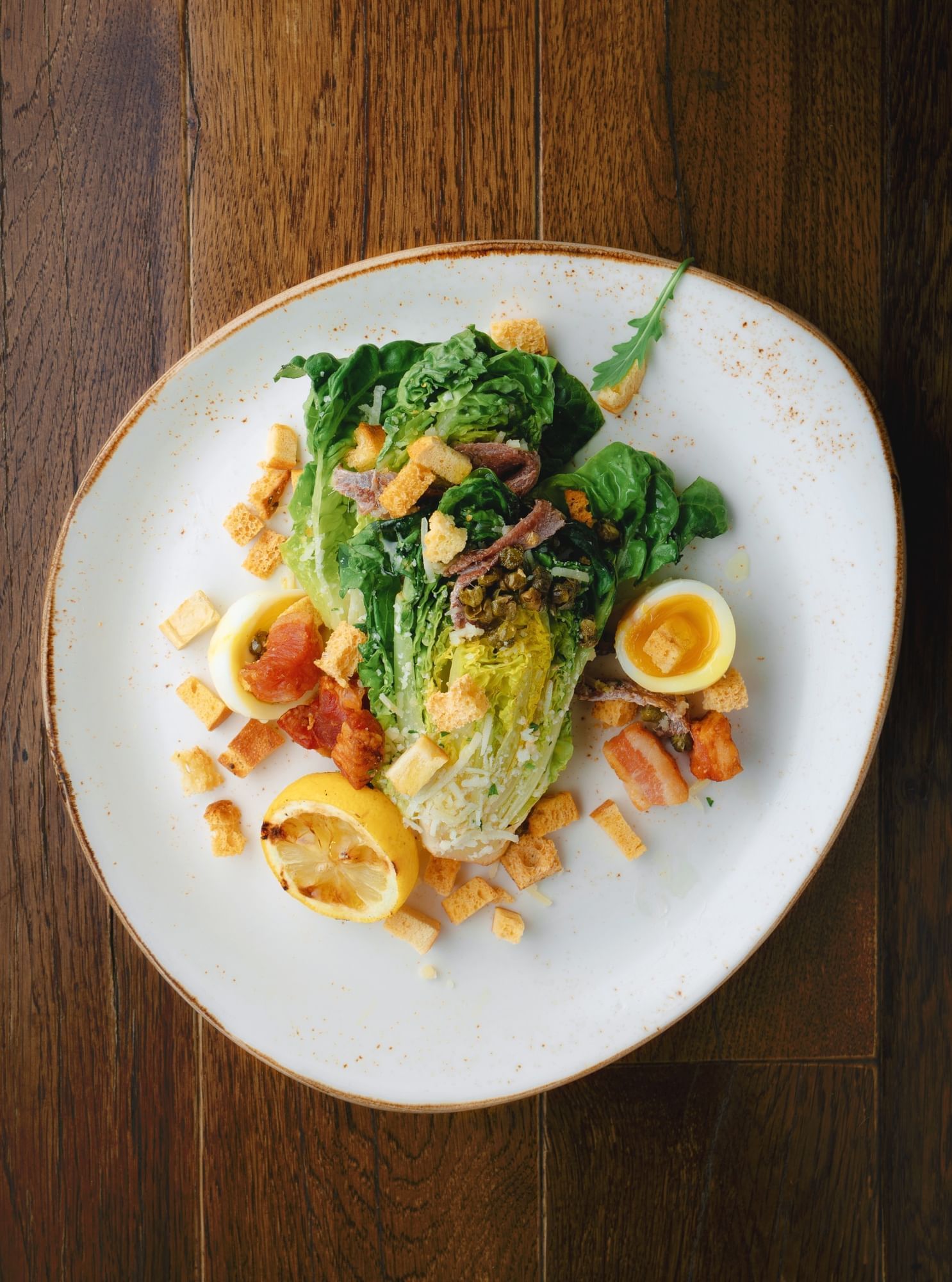 Lorem ipsum Plated Caeser salad with lettuce, boiled eggs, sliced lemons and anchovies