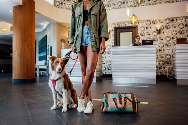 Pet-friendly Hotels | Sandman Hotel Group