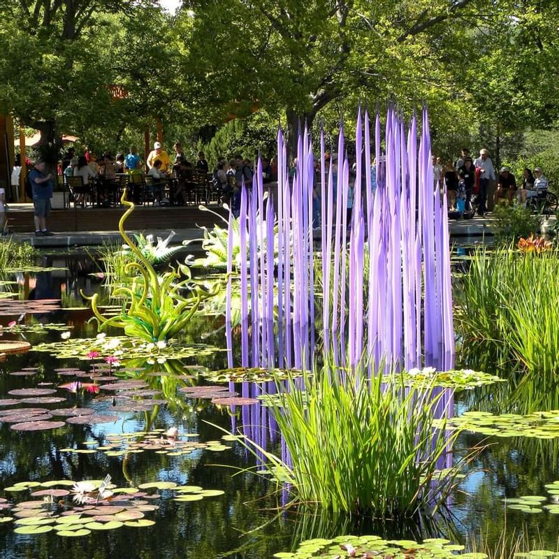 Naturel pond in Denver Botanic Gardens near Warwick Denver