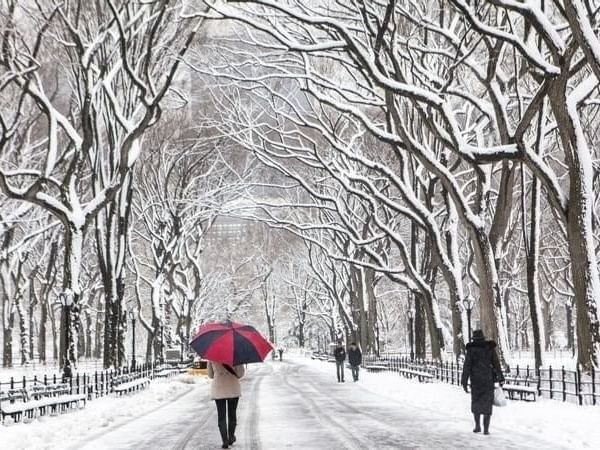 Winter Park