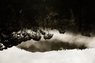 Upside down image of the mountains at Gordon River Cruise