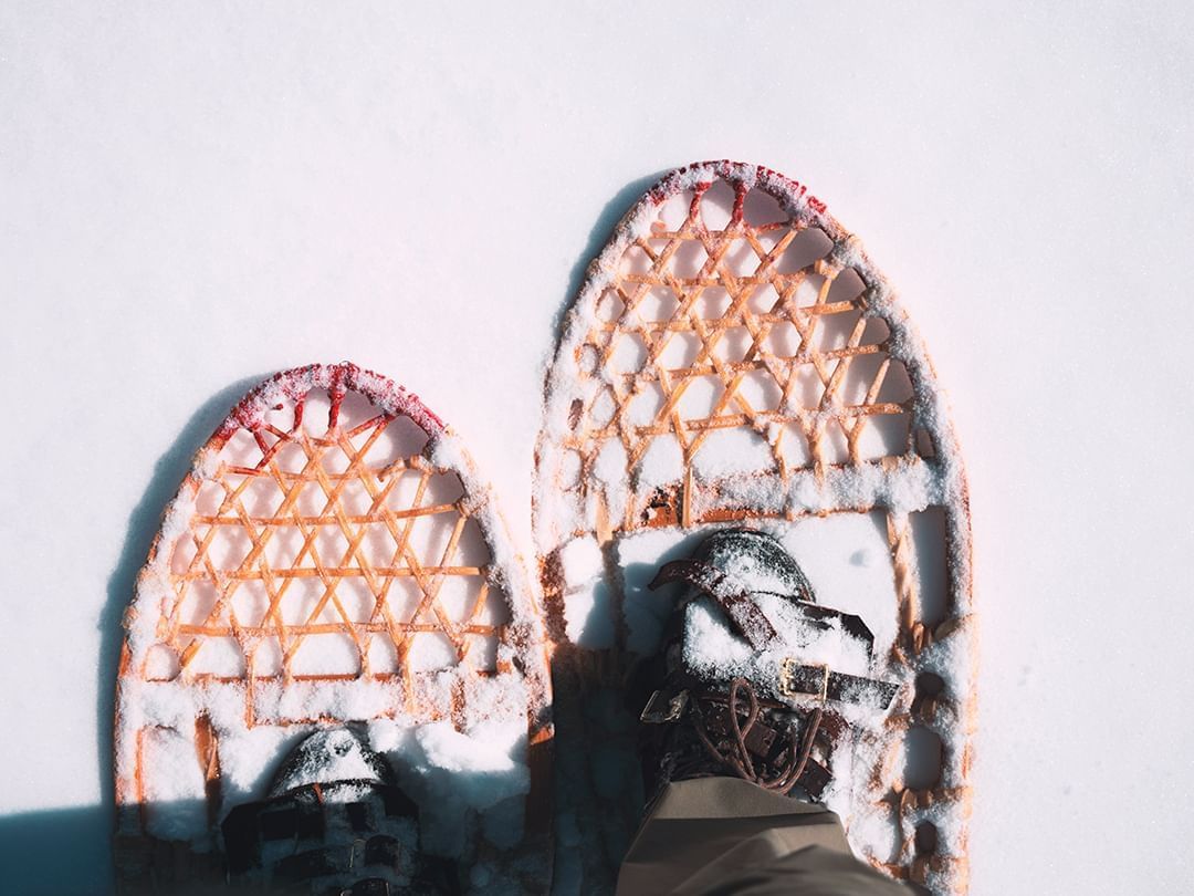 Close-up of snow shoes on the snow near Hotel Jackson