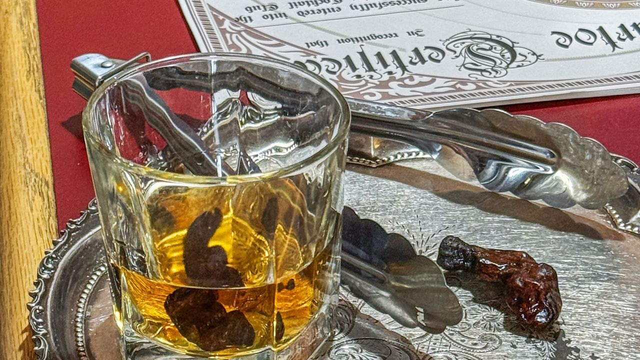 Sourtoe cocktail