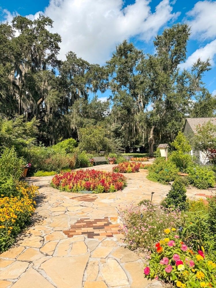 A stone pathway winds through landscaped gardens with flowers amongst towering trees dripping with Spanish moss at Leu Gardens, which offers free admission for moms on Mother's Day.