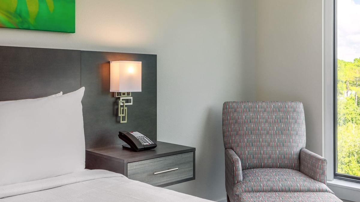 Terraces King Studio 