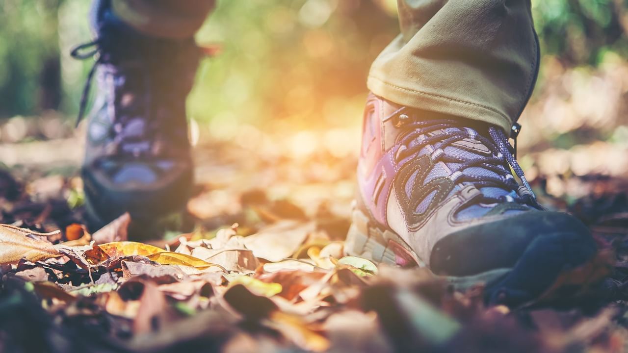 Hikers boots walking in woods