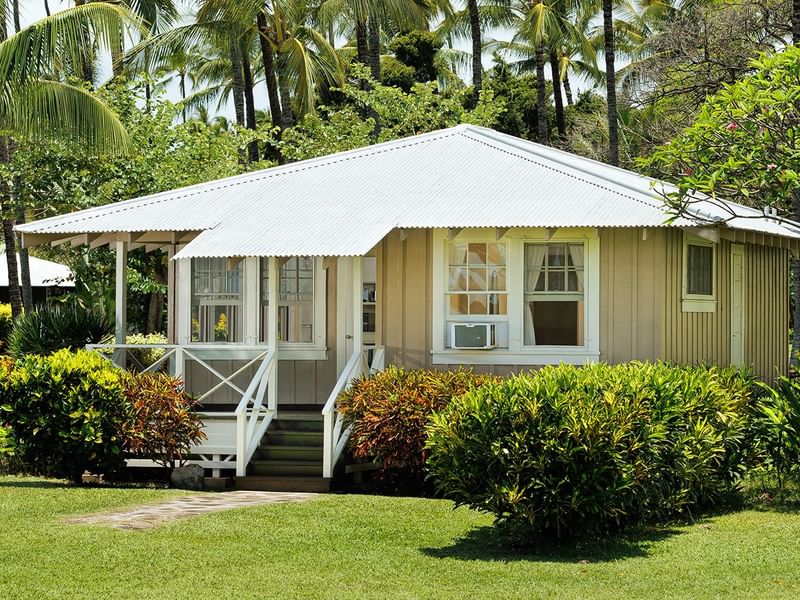 Cottage surrounded by trees and garden