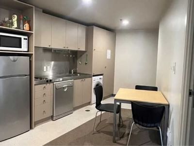 Kitchen in Shared Apartment