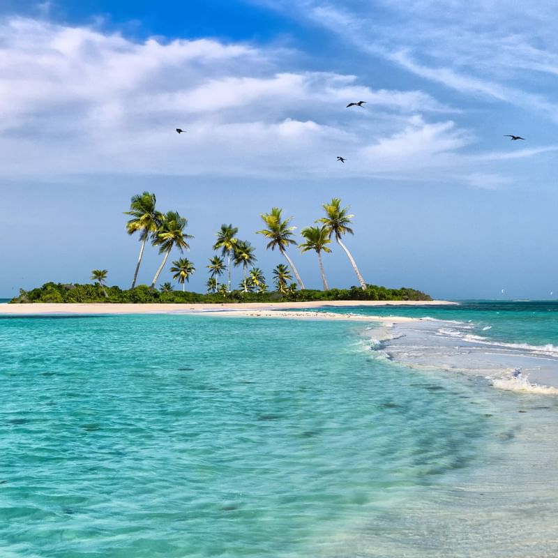 Landscape view of the Bahamas Island around with beach near Warwick Paradise Island Bahamas