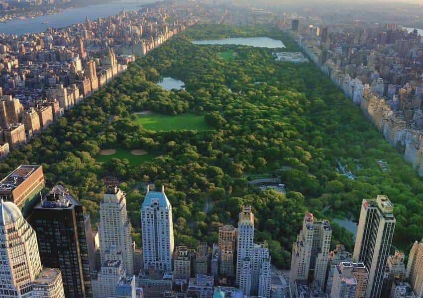 Things to Do and See in New York