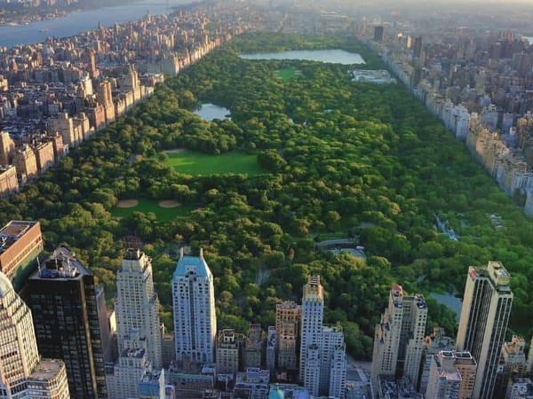 Things to Do and See in New York