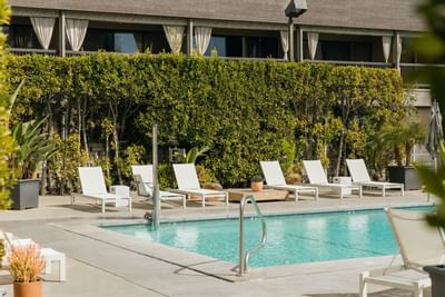 Outdoor pool area with pool lounges at Luxe Sunset Boulevard
