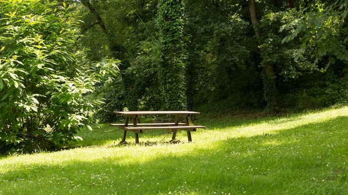 The garden and lawn along in Hotel Les Quatre Salines