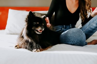 Woman petting Pomeranian dog on a bed at Adara Hotel