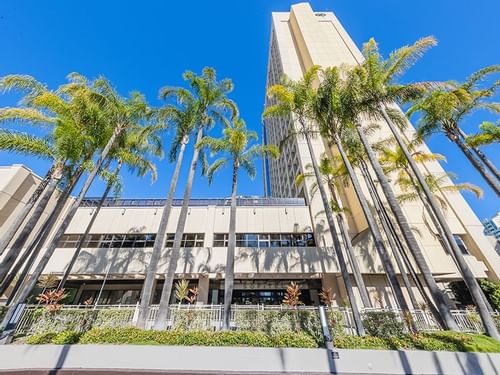 Sofitel Brisbane Central Hotel flanked by tall palm trees under a clear blue sky