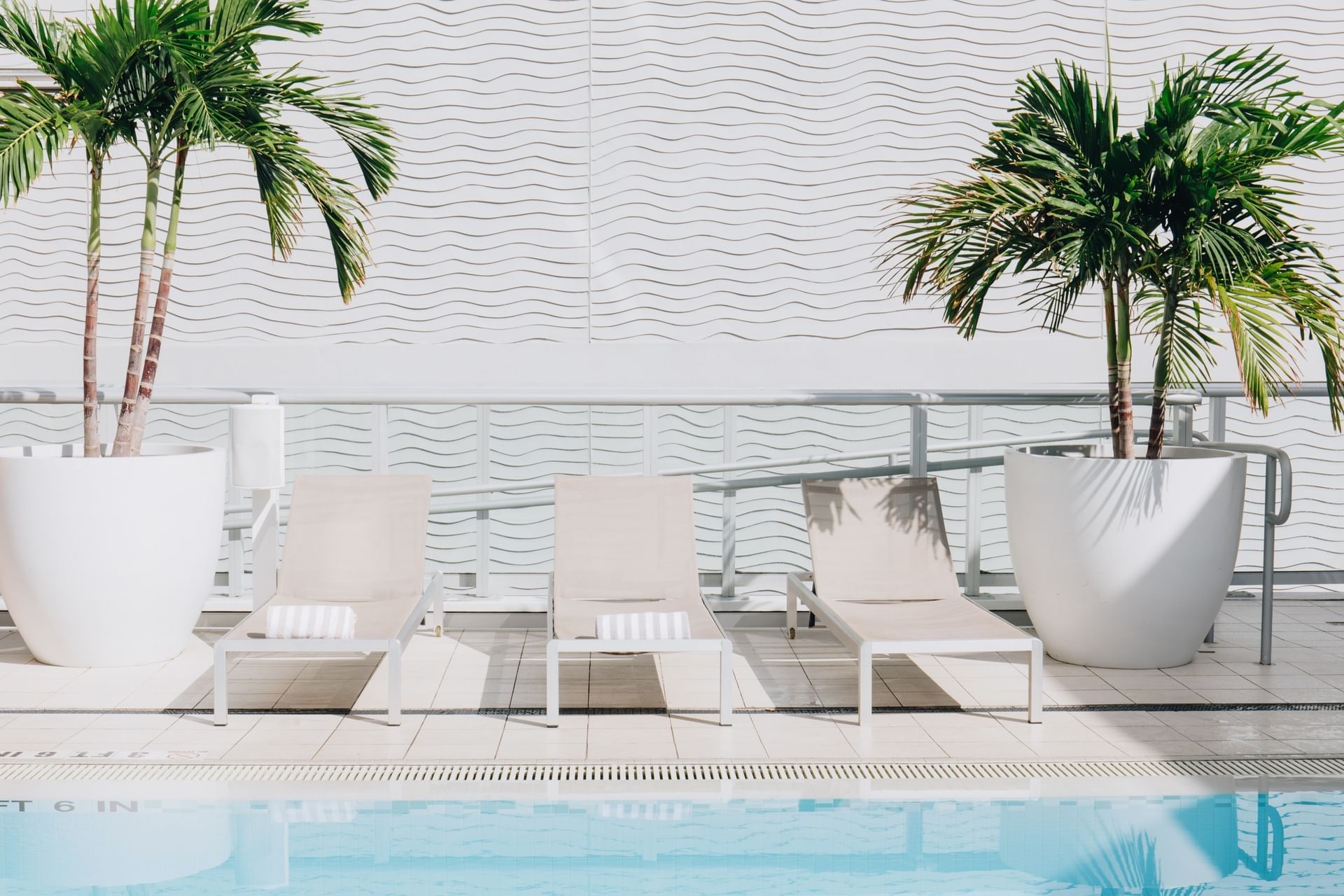 Sun loungers by the pool at Berkeley Shore Hotel