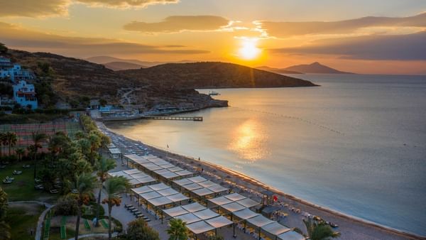 Nightly Entertainment