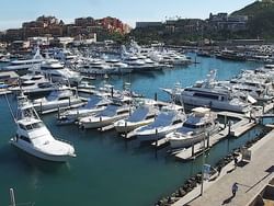 Marina Cabo San Lucas