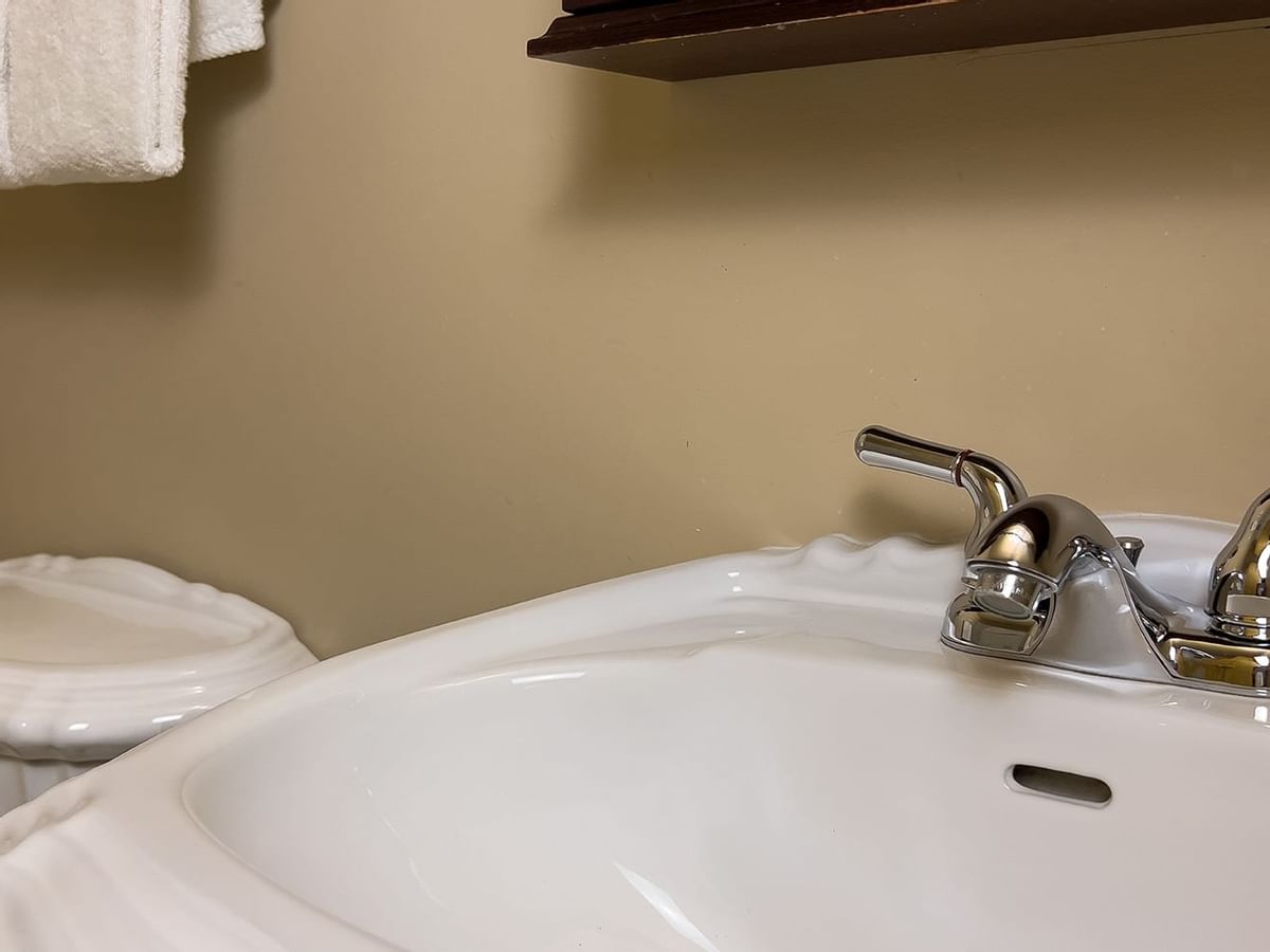 Bathroom sink and toilet