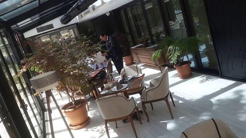Elegant chairs by a wooden table under a glass ceiling and leafy trees in a cafe at Warwick Ankara