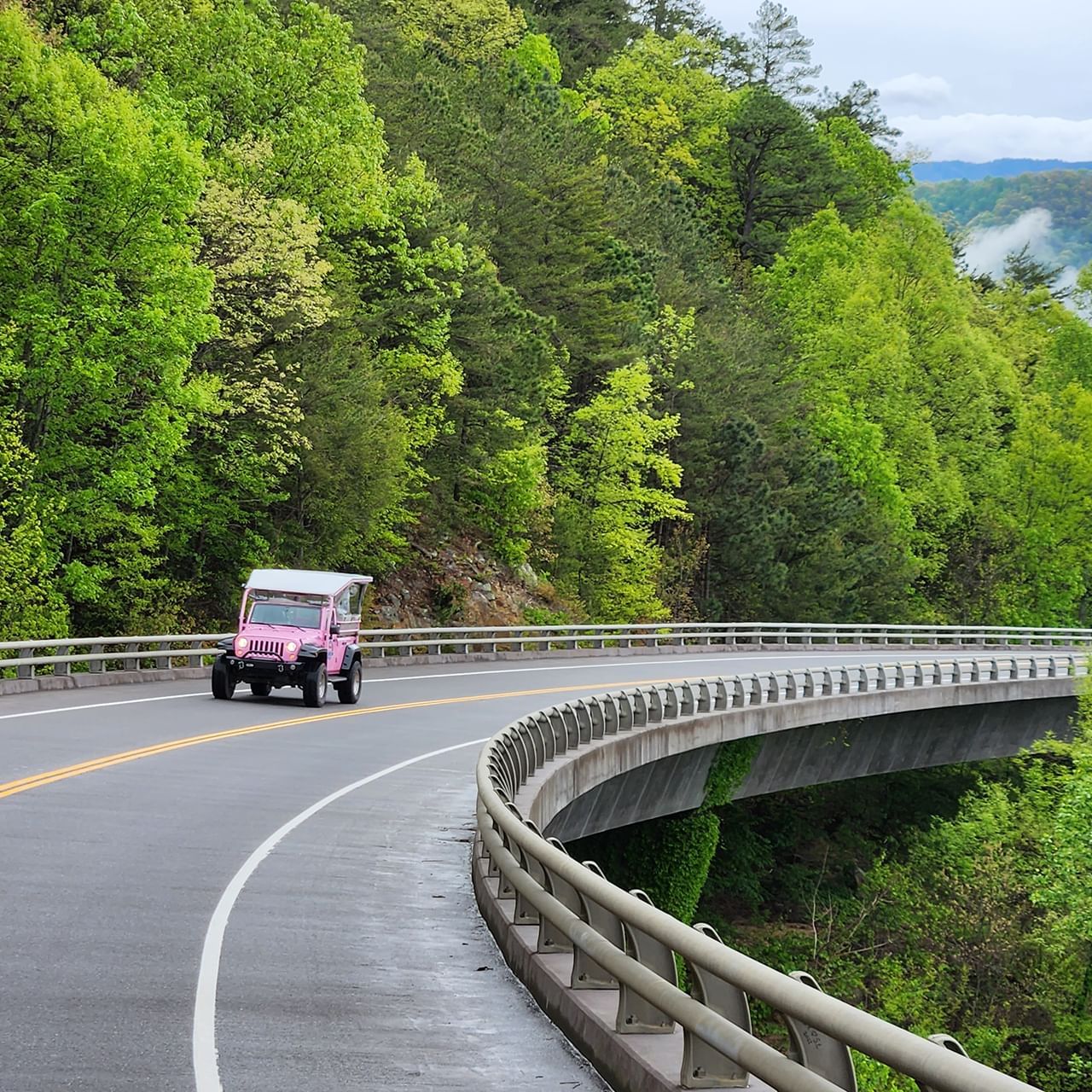 A Pink Tours vehicle drives on a curved road with guardrails, surrounded by dense green trees in the Smoky Mountains.