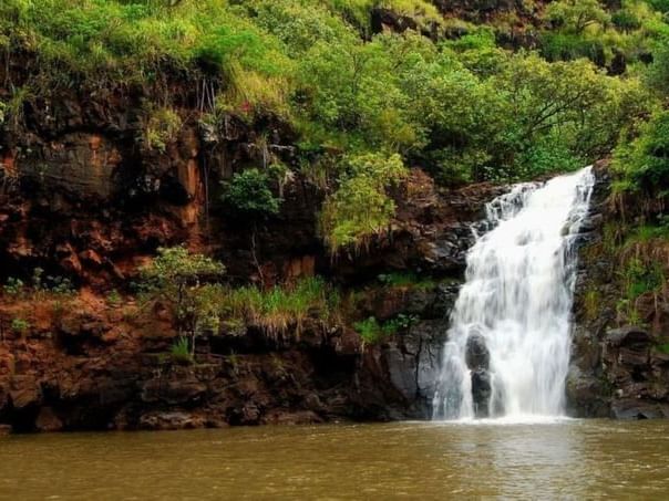 Calming Waterfall in Waimea Valley near Paradise Bay Resort