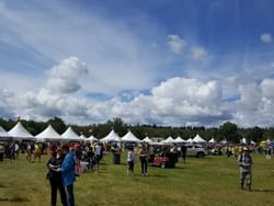 Crowded area in William Hawrelak Park near Metterra Hotel on Whyte