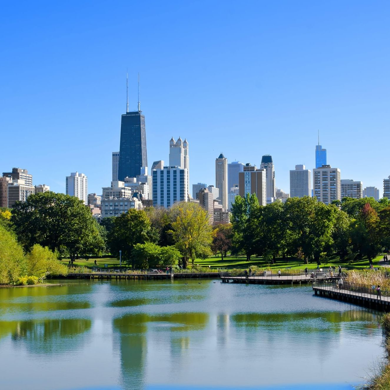 Image of Chicago's skyscrapers